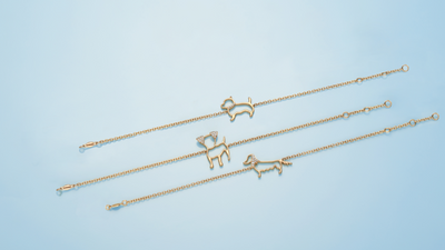 Celebrate International Dog Day with Our New Memories Bracelets